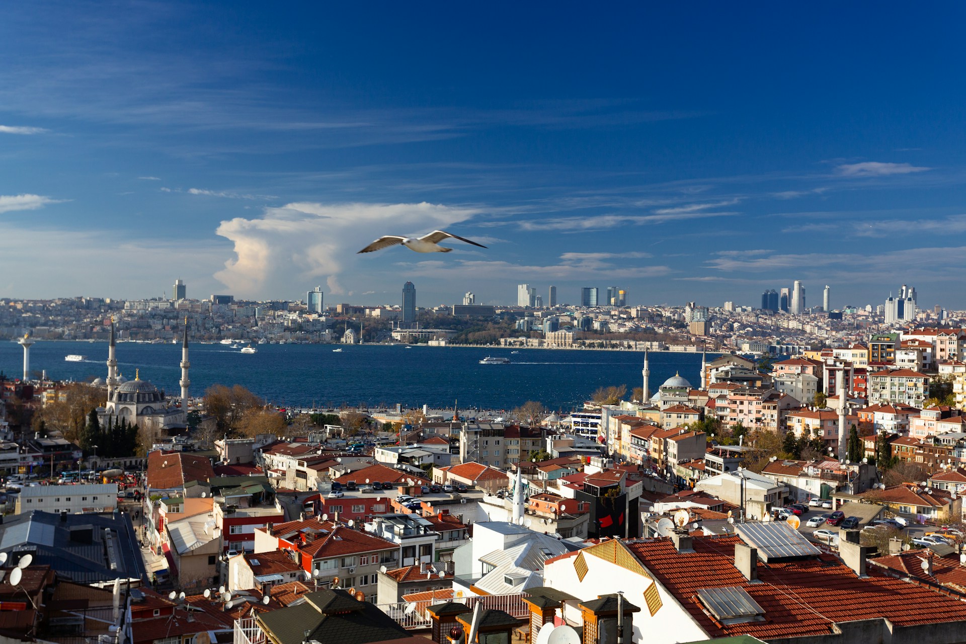 Gayrimenkul Portalı